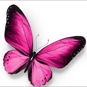 Meet your Posher, Yanet